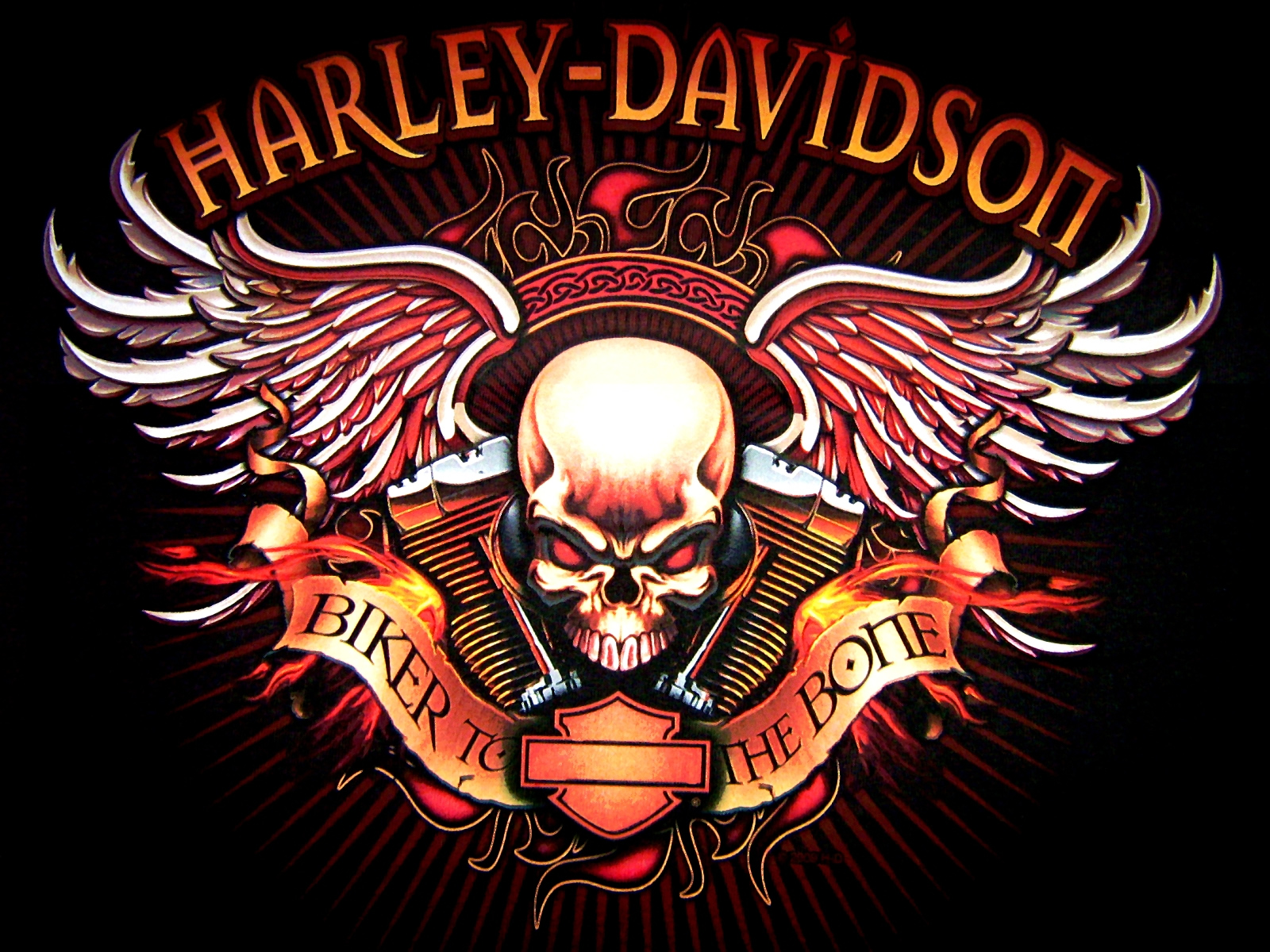 Harley Davidson Bike Night Rider harleydavidson bikes artist  digitalart HD wallpaper  Peakpx