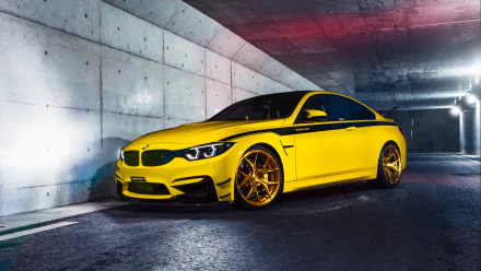 vehicle BMW M4 HD Desktop Wallpaper | Background Image