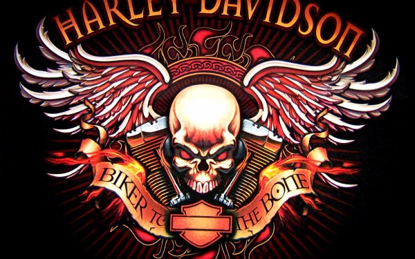 Vehículos Harley-Davidson Motocicletas Logo Fondo de pantalla HD | Fondo de Escritorio