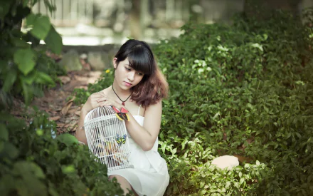depth of field brunette birdcage white hair model woman asian HD Desktop Wallpaper | Background Image