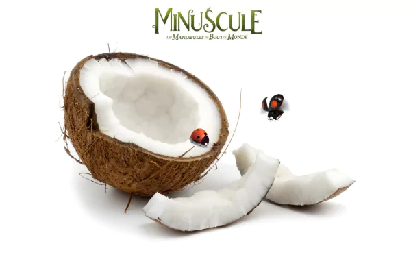 movie Minuscule 2: Mandibles From Far Away HD Desktop Wallpaper | Background Image