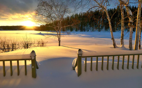 A 4K Ultra HD winter scene in Quebec featuring birch trees, a snow-covered fence, and a vibrant sunset casting warm light over the snowy landscape.