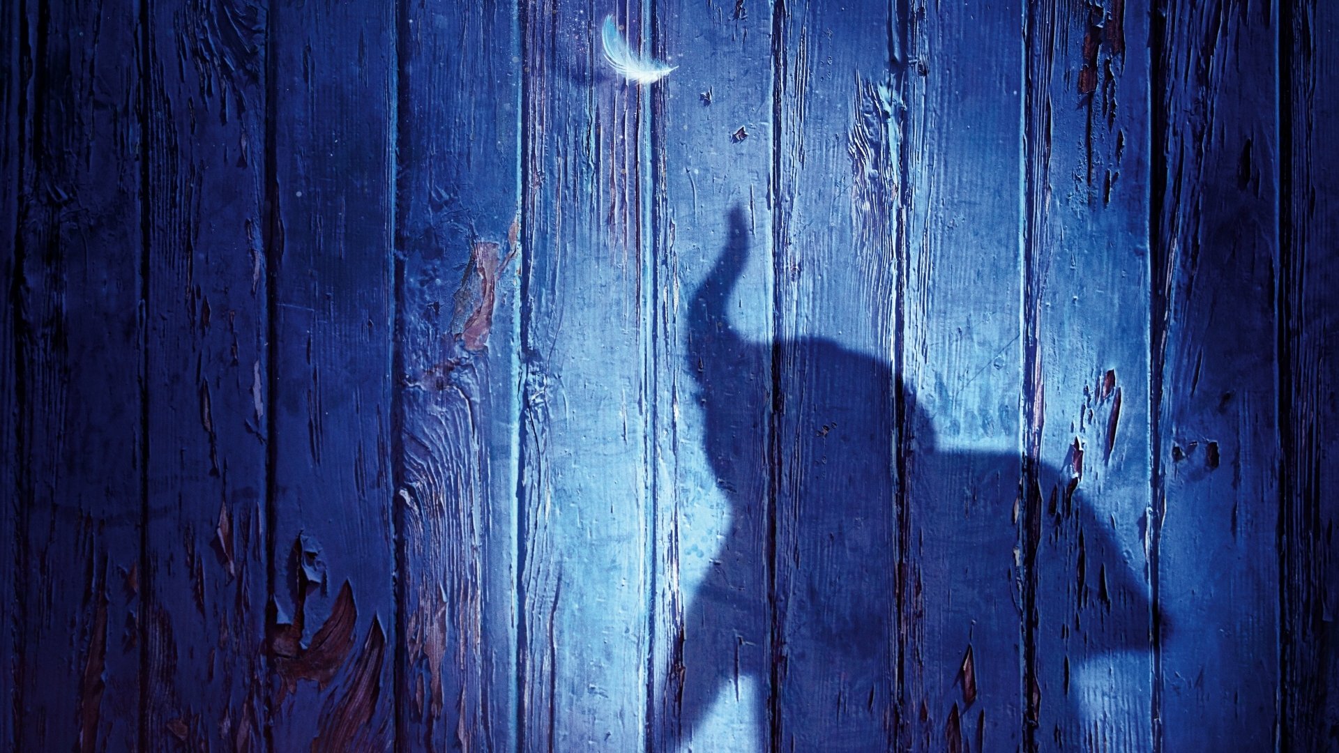 4K Ultra HD PC desktop wallpaper showing a moonlit blue wooden wall with the silhouette of Dumbo (movie, 2019) raising his trunk.