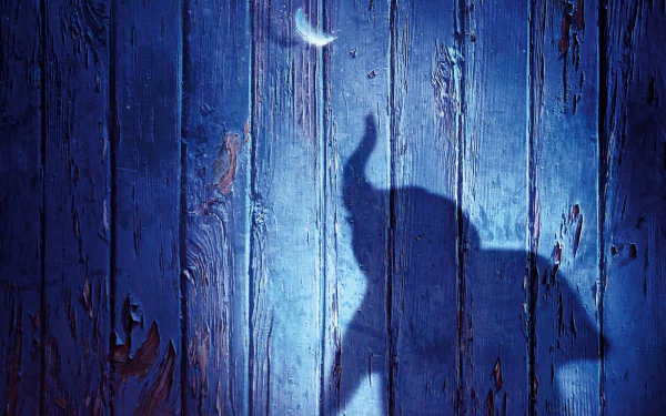 4K Ultra HD PC desktop wallpaper showing a moonlit blue wooden wall with the silhouette of Dumbo (movie, 2019) raising his trunk.
