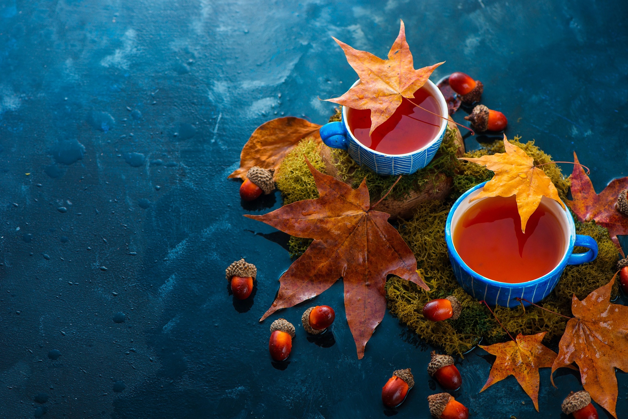 Download Still Life Leaf Cup Food Tea HD Wallpaper
