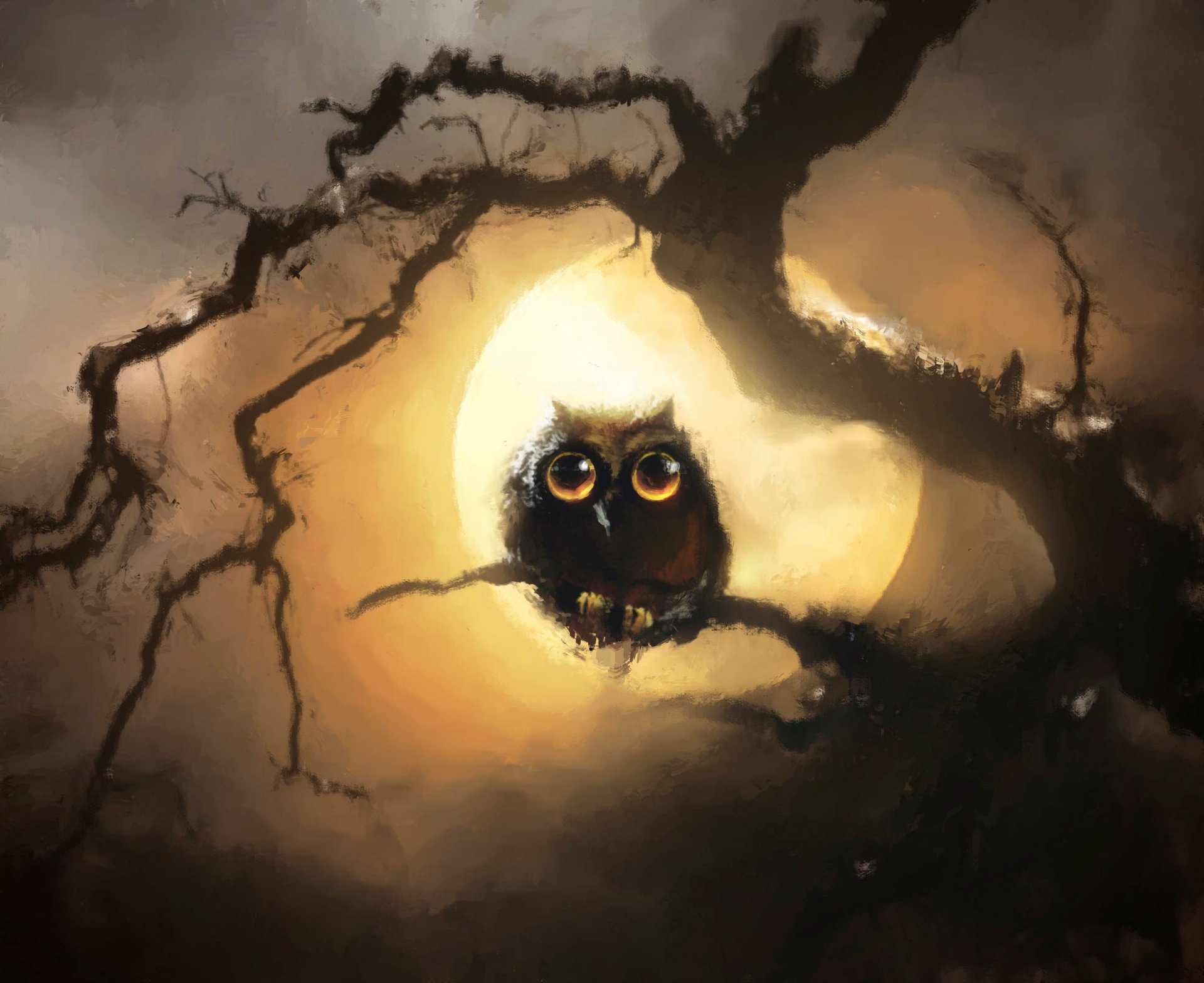 night owl cloud