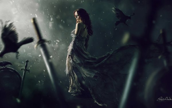 Fantasy Women Weapon Sword Shield Bird HD Wallpaper | Background Image