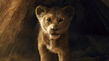 Simba movie The Lion King (2019) HD Desktop Wallpaper | Background Image
