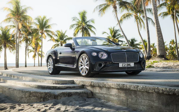 Black Bentley Continental GT cabriolet parked by palm trees, showcased in stunning 8K Ultra HD wallpaper quality.